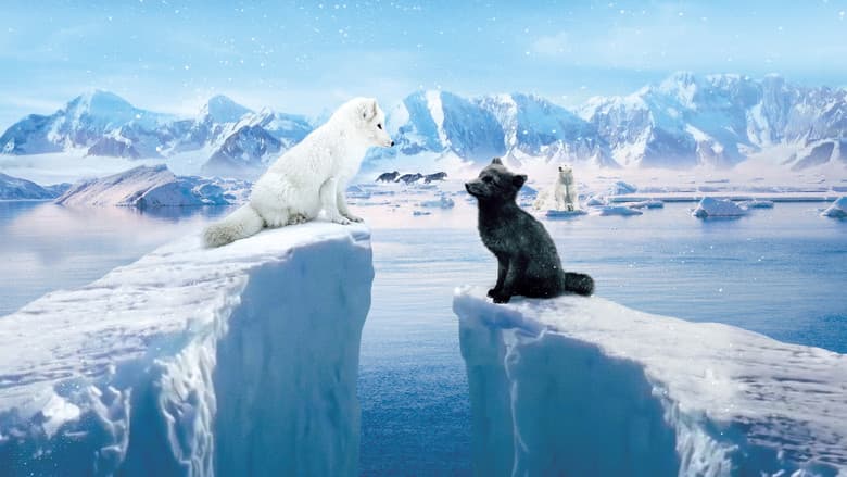 copertina Kina & Yuk Alla Scoperta Del Mondo