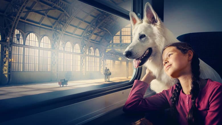 copertina del programma Lampo - Il cane viaggiatore