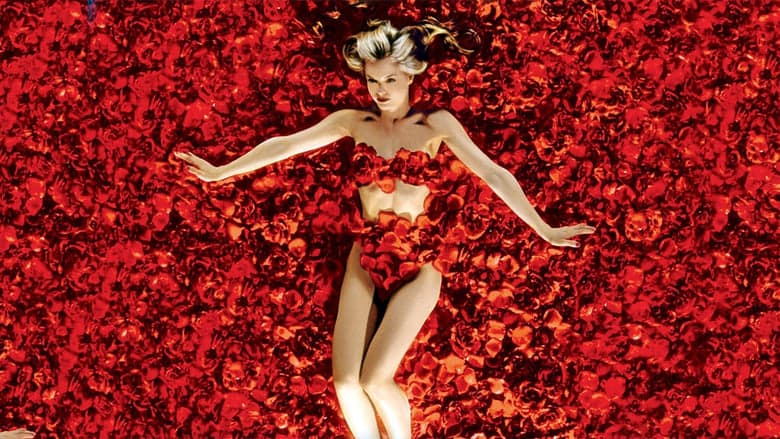 copertina American Beauty