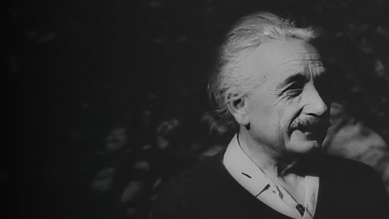 copertina Einstein days