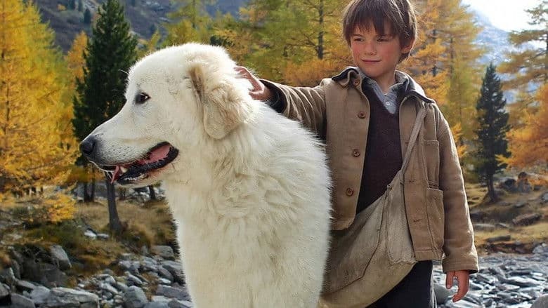 copertina del programma Belle & Sebastien