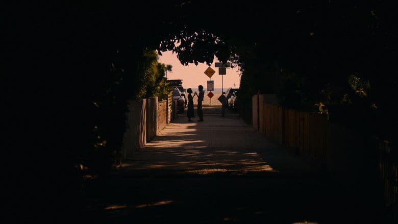 copertina del programma Lei - She