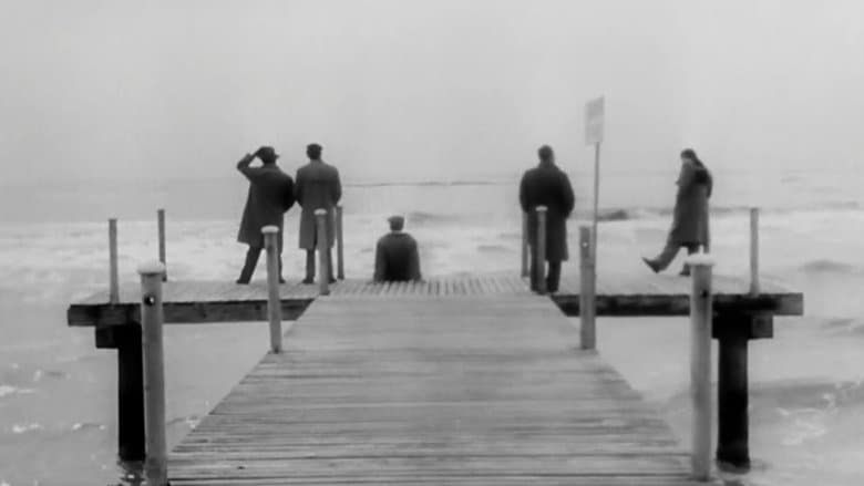 copertina del programma I vitelloni