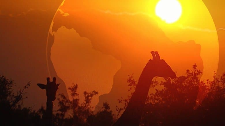 copertina del programma Incontri ravvicinati nel meraviglioso mondo degli animali