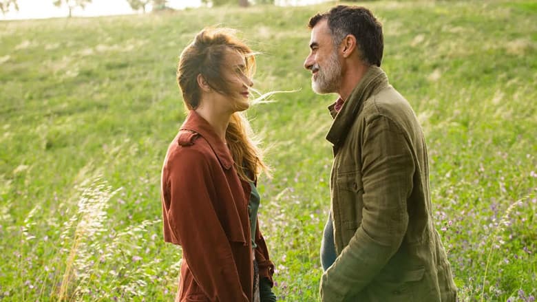 copertina Amori che non sanno stare al mondo