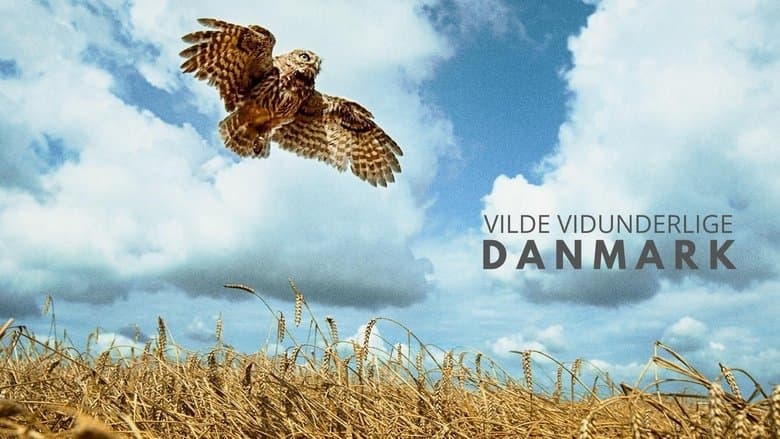 copertina Meraviglie Naturali Della Danimarca Il M
