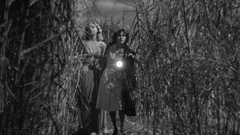 copertina Ho camminato con uno zombie