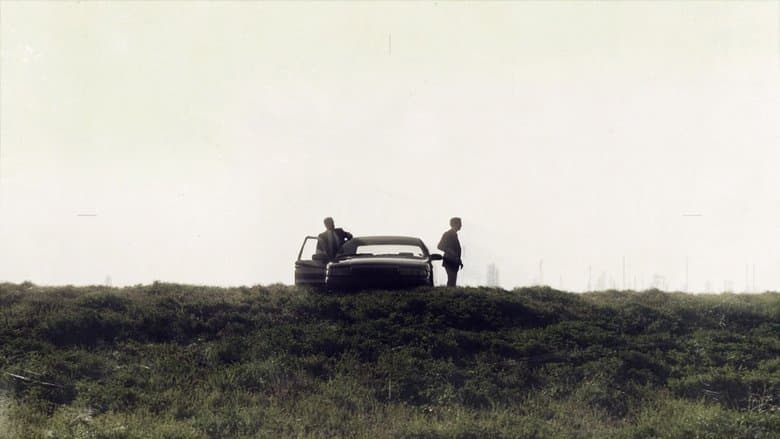 copertina Il detective