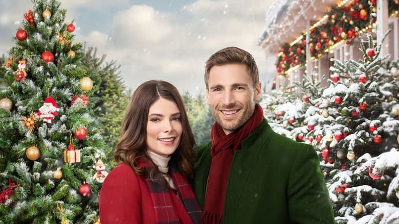copertina del programma Il Natale che ho dimenticato