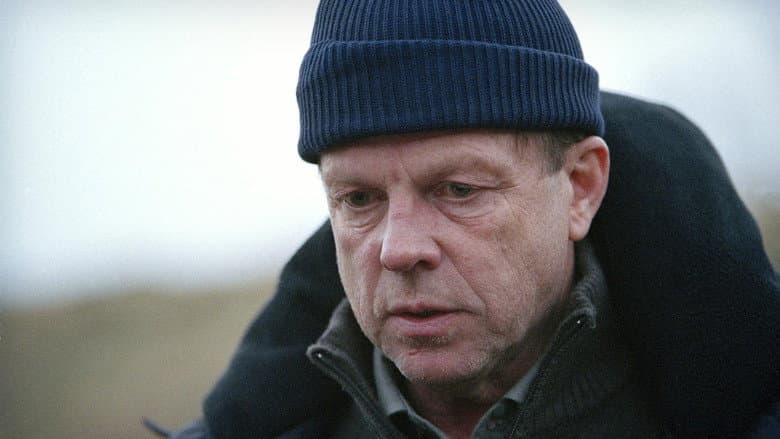 copertina del programma Wallander