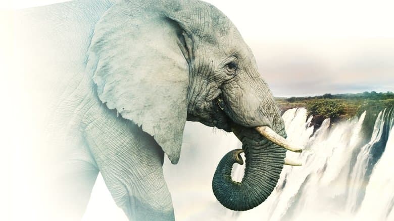 copertina del programma Cascate Victoria - Eden africano