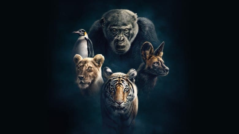 copertina Dynasties - L'avventura della vita