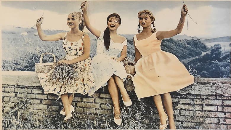 copertina del programma 3 straniere a Roma