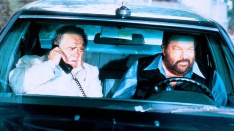 copertina del programma Polizza droga