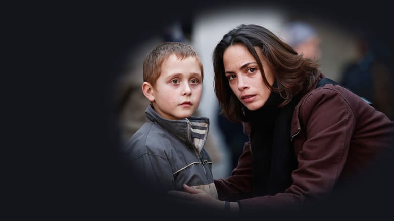 copertina The Search