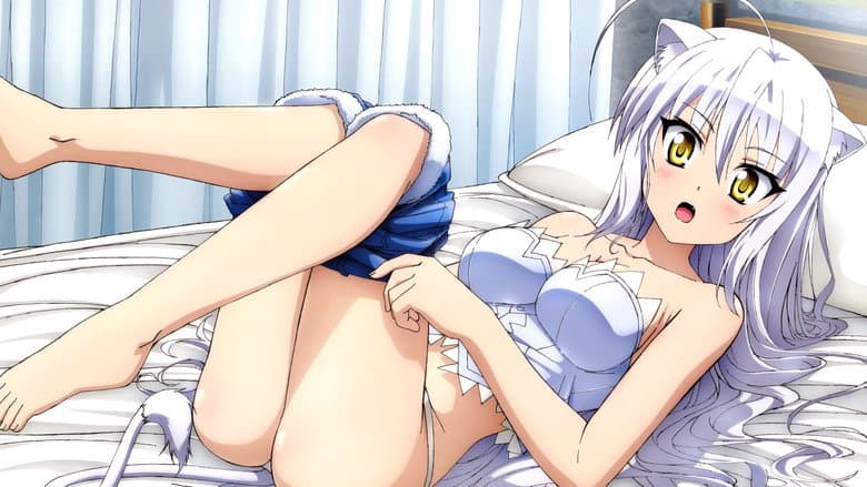 copertina del programma Dog Days