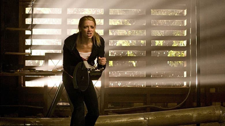 copertina del programma Il segreto di David - The Stepfather