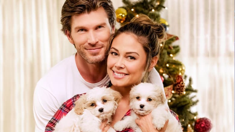 copertina del programma Il miglior Natale della mia vita