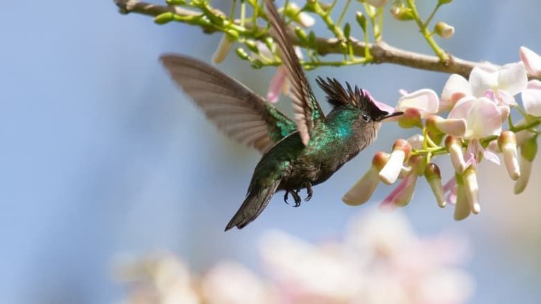 copertina Santuari della natura