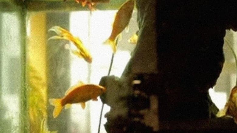 copertina L'Aquarium et la Nation