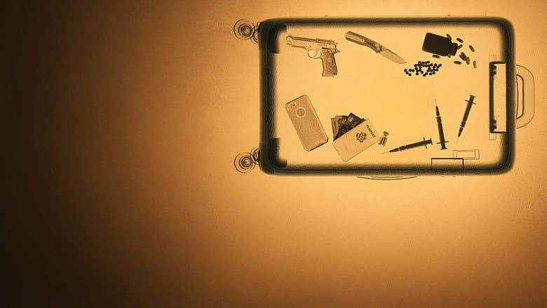 copertina Airport security Usa