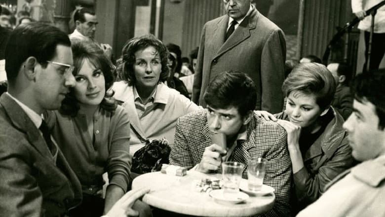 copertina del programma I delfini