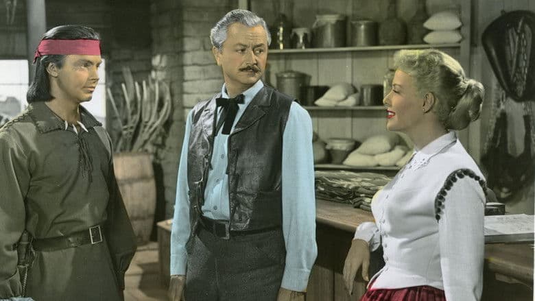 copertina La carica degli Apaches