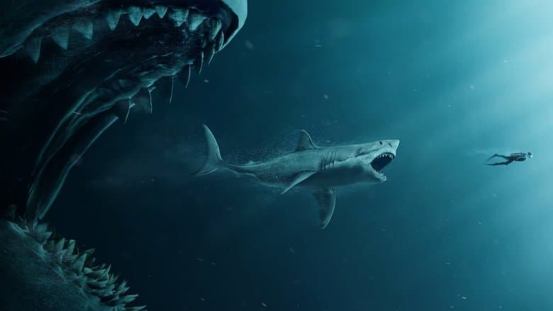 copertina del programma Shark - Il primo squalo