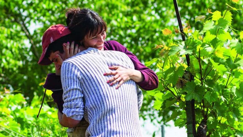 copertina Un giorno all'improvviso