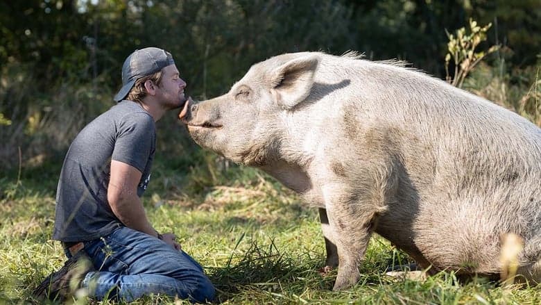 copertina La mia vita è una fattoria