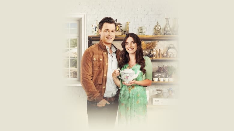 copertina L'amore non ha prezzo