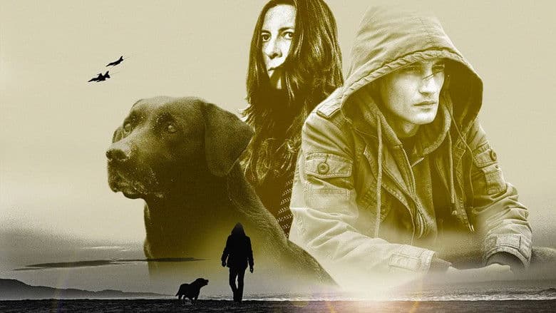 copertina del programma Il fronte interno