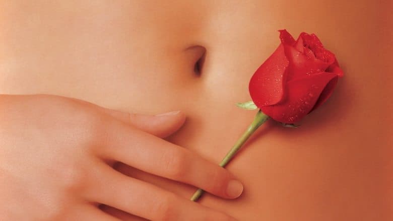 copertina American Beauty