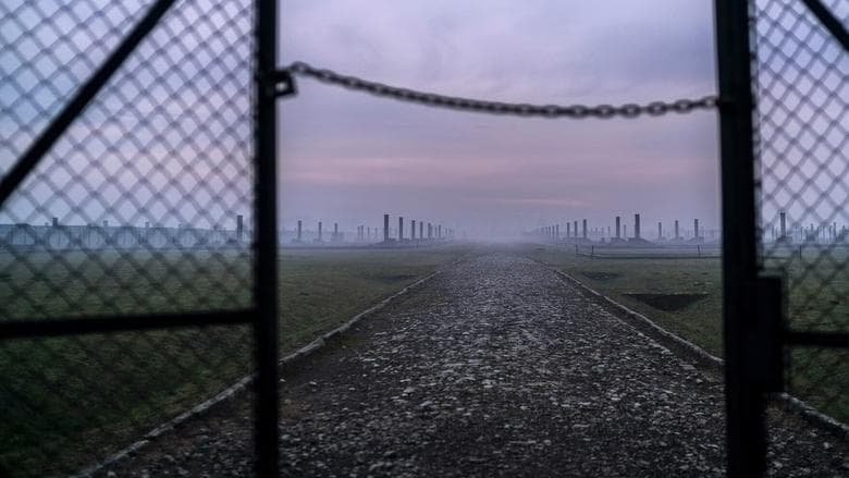 copertina Auschwitz: Countdown To Liberation