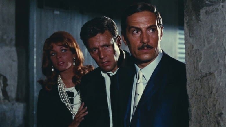 copertina del programma Operazione San Gennaro