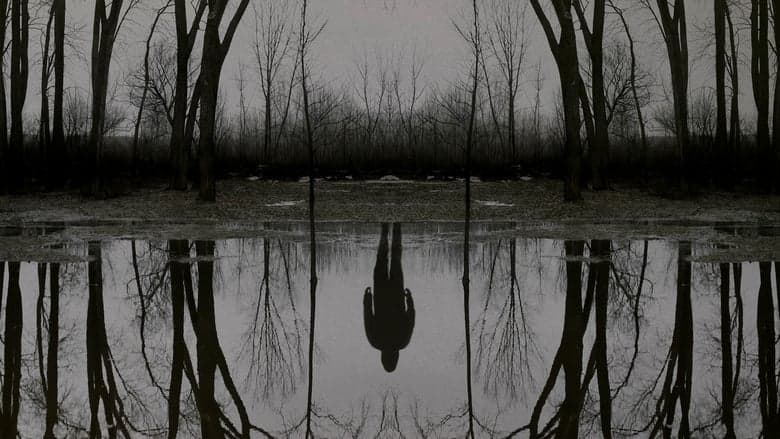 copertina del programma The Outsider