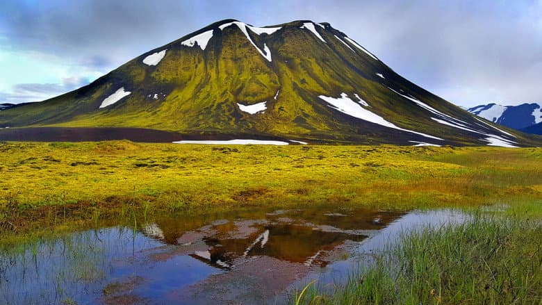 copertina La Natura Selvaggia