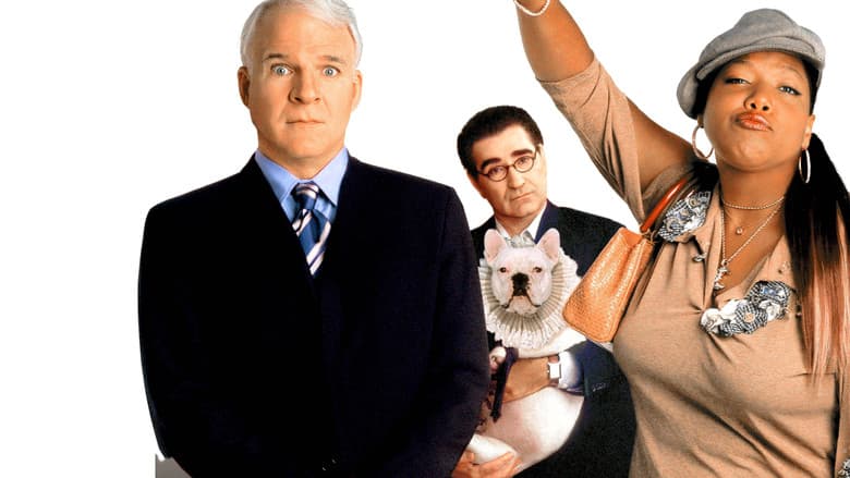 copertina del programma Un ciclone in casa