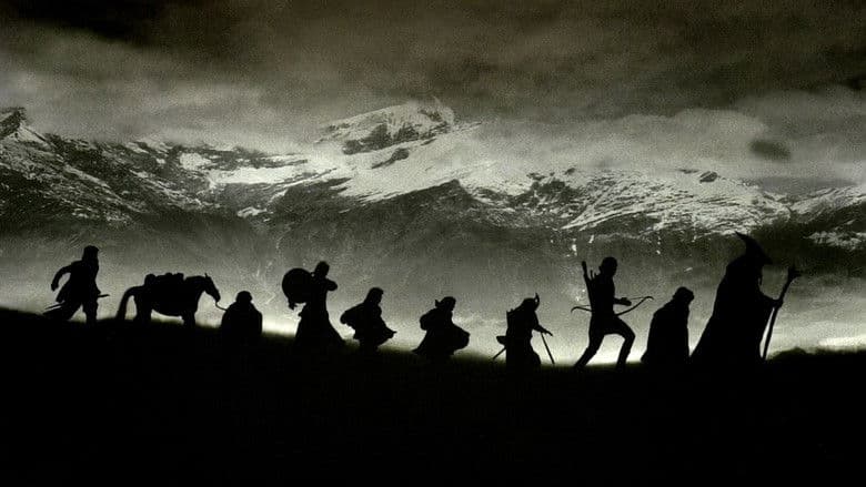 copertina Il Signore degli Anelli - La compagnia dell'anello