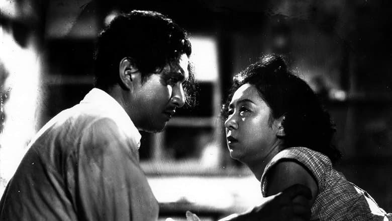 copertina Una gallina nel vento