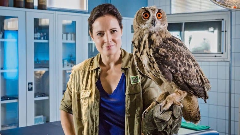 copertina Zoo Doctor