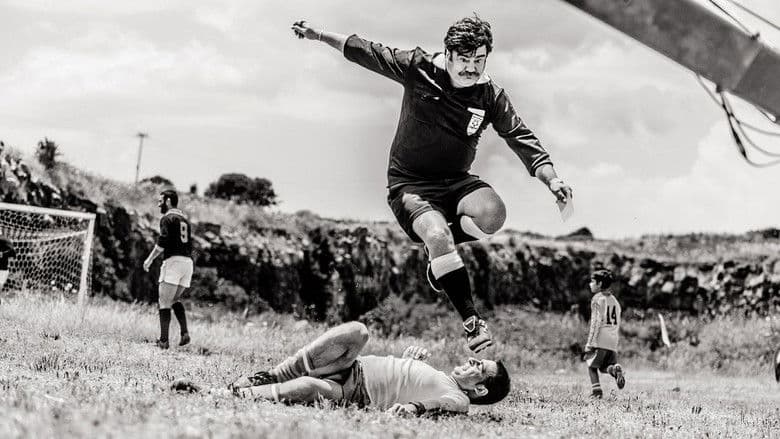 copertina L'arbitro (2013)