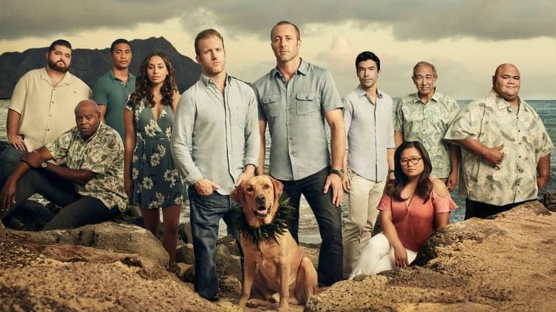 copertina del programma Hawaii Five-0