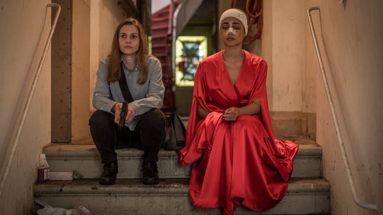 copertina del programma Shelter