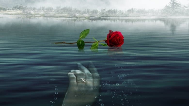 copertina Per amore della verità