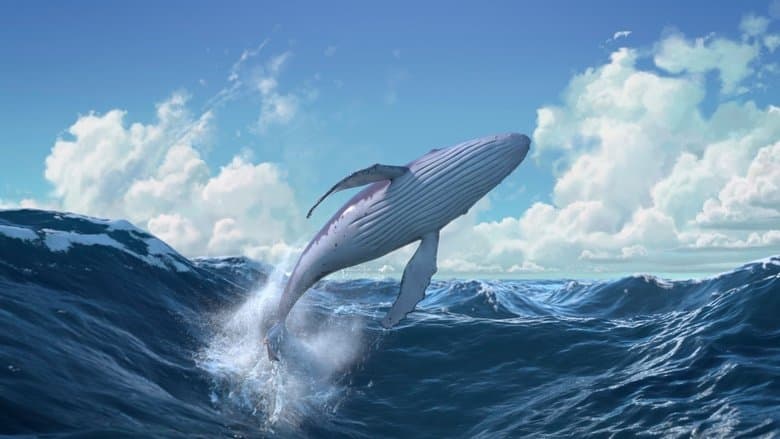 copertina del programma La Chiocciolina e la Balena