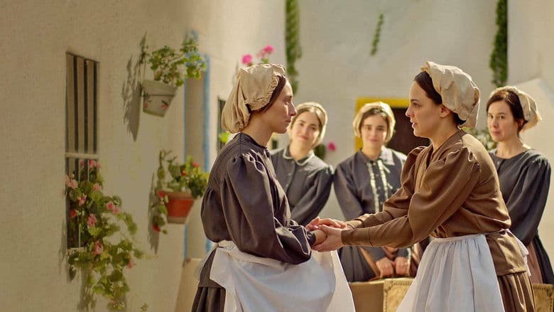 copertina del programma Petra di San Giuseppe