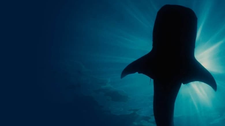 copertina Focus natura - Un mondo perfetto