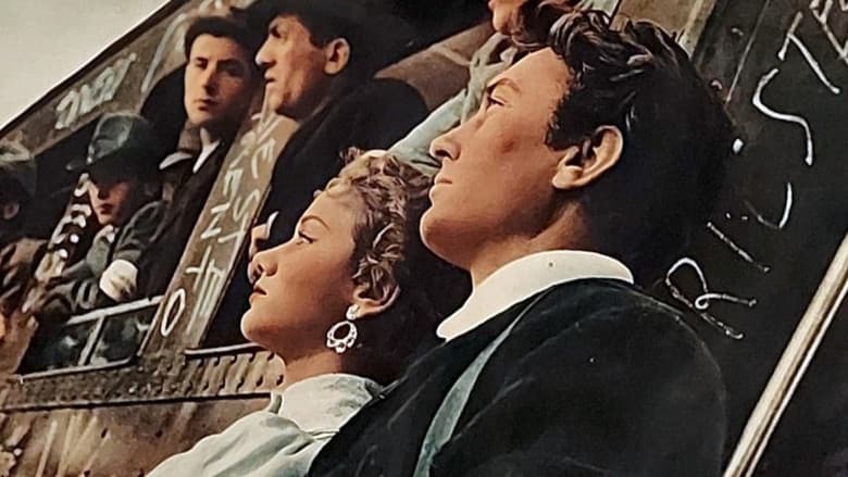 copertina I cinque dell'Adamello