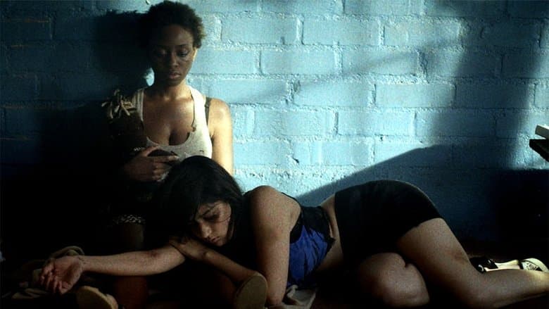 copertina del programma Trafficked